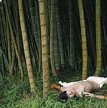 Boy Lying in the Bamboo Forest