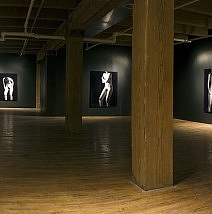 2008 Omerta-Commandment of Silence, Walsh gallery, Chica
